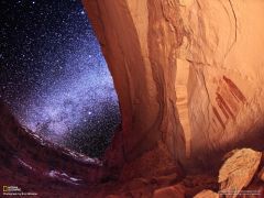 Tapeta National Geographic 597.jpg